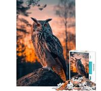 Puzzle pour Adolescents 1000 pièces Hibou Oiseau Coucher de Soleil Animal pour Jeu éducatif Jouet Stimulant Jeux familiaux défi Difficile Excellent Cadeau pour Les Jeux (Dimensions 38x26cm)