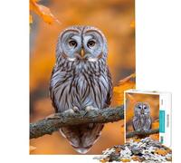 Puzzle pour Adolescents 1000 pièces Hibou perché sur Une Branche en Automne Jeu éducatif et Pratique d'apprentissage d'analyse et de logique Idée Cadeau (Dimensions 50x75cm)