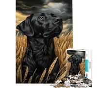Puzzle pour Adolescents 1000 pièces Labrador Noir dans Un Champ de blé Jeu addictif pour cultiver la Patience Jeu Familial adapté aux Couples pour Les Amateurs de Jeux (38x52cm)