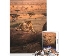 Puzzle pour Adolescents 1000 pièces Lionne sur Un Rocher Jeu Anti-Stress Cadeau d'anniversaire Jeu éducatif Stimulant Dimensions 38x52cm