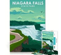 Puzzle pour Adolescents 1000 pièces Parc d'État des Chutes du Niagara Jeu de réflexion Stimulant Loisirs et Divertissement Cadeau Artistique de Noël (38x52cm)