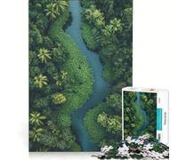 Puzzle pour Adolescents 1000 pièces Vue aérienne d'une rivière dans Une forêt luxuriante, Jeu de réflexion, Interaction Parent-Enfant, Cadeau d'anniversaire, 50x75cm