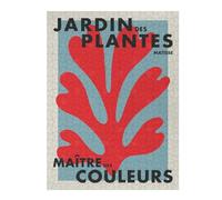 Puzzle pour Adolescents 1000pcs(52x38cm) Pièces De Puzzle Matisse Jardin des Plantes Puzzle pour Adultes - Jouet Anti-Stress - Cadeau d'anniversaire - Difficile À Compléter 1000pcs(52x38cm)