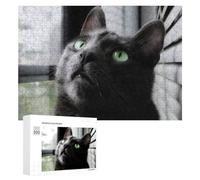 Puzzle pour Adolescents 300 PCS Curious Cat by The Window Puzzle pour Adultes - Jeu Manuel - Décoration Murale - Cadeaux Uniques pour Anniversaire Et Noël 300 PCS