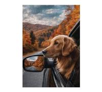 Puzzle pour Adolescents 38x26cm/1000pcs Golden Retriever Autumn Drive-1 Puzzle À Monter Soi-même - Jouets pour Améliorer La Mémoire - Cadeaux Uniques pour Un Anniversaire Ou Noël 38x26cm/1000pcs