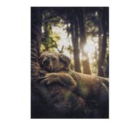 Puzzle pour Adolescents 38x26cm/1000pcs The Sleeping Koala Puzzles pour Adultes Jouets Anti-Stress Décoration Murale Activités Amusantes À La Maison, 38x26cm/1000pcs