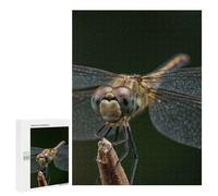 Puzzle pour Adolescents 500 PCS Dragonfly Close-Up on Twig Puzzle Adulte, Jouet, Décoration Murale, Découpe De Précision, Jeu Stimulant, Cadeaux 500 PCS