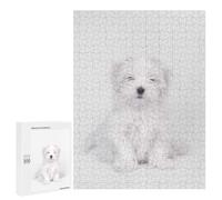 Puzzle pour Adolescents 500 PCS Maltese Dog Puppy Puzzles pour Adolescents - Jouets Anti-Stress - Assemblage De Motifs - Cadeaux Uniques pour Anniversaire Et Noël 500 PCS