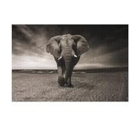 Puzzle Pour Adolescents 75x50cm/1000pcs Elephant on The Beach A Monochrome Masterpiece Puzzles Pour Adultes Jeu Pratique, Amusant Et Humoristique Aidez Votre Cerveau À Faire Travailler 75x50cm/1000pcs