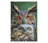 Puzzle pour Adolescents 75x50cm/1000pcs Owl Animal Family Puzzle pour Adultes Jeu Manuel Défi Difficile Jeu Stimulant Cadeaux 75x50cm/1000pcs