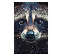 Puzzle pour Adolescents 75x50cm/1000pcs Raccoon Closeup Face Puzzles pour Adolescents - Décoration Murale - Améliore La Mémoire - Cadeaux De Noël Et d'anniversaire 75x50cm/1000pcs