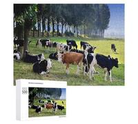 Puzzle pour Adolescents Cows Grazing in Pasture Puzzle Adulte Anti-Stress, Cadeau d'anniversaire, Cadeaux, 500 PCS