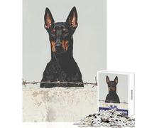 Puzzle pour Adolescents de 1000 pièces Doberman Pinscher derrière Une clôture Décoration intérieure Jouet Cadeau de Noël Secret Jeu Familial Stimule Le Cerveau Dimensions 50x75cm