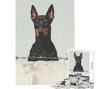 Puzzle pour Adolescents de 1000 pièces représentant Un Doberman derrière Une clôture Jeu éducatif et Amusant idéal pour Les Anniversaires Comprend Une Affiche et Une fiche de Questions-réponses