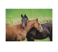 Puzzle pour Adolescents38x26cm/1000pcs Two Horses in Pasture Puzzle pour Adultes, Décoration Murale, Cadeau d'anniversaire Idéal pour Toute La Famille 38x26cm/1000pcs