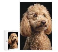 Puzzle pour Adultes 1000 PCS Golden Poodle Dog Breed-1 Puzzles pour Adolescents Découpe De Précision pour Anniversaire, Noël Jouet Jeu Intellectuel 1000 PCS