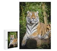 Puzzle pour Adultes 1000 PCS Tiger Lying on Brown Tree Puzzle Casse-tête Amusant Et Humoristique, Idéal comme Cadeau 1000 PCS