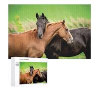 Puzzle pour Adultes 1000 PCS Two Horses in Pasture Puzzle pour Adultes, Jeu De Réflexion, Cadeau pour Femmes, Activités Amusantes À La Maison, 1000 PCS