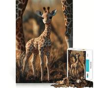 Puzzle pour Adultes 1000 pièces Bébé Girafe dans la Savane Découpe Parfaite Jouet Amusant et Stimulant pour l'esprit Jeu paisible Cadeau d'anniversaire Amusant (50x75cm)
