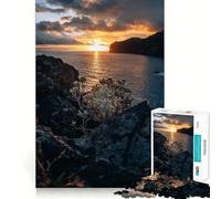 Puzzle pour Adultes 1000 pièces Canico Madeira Découpe précise Jeu d'art cognitif Jouet Détente et Loisirs Décoration Murale de Noël (38x52cm)
