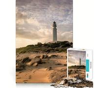 Puzzle pour Adultes 1000 pièces Caos De Meca Cdiz Exact Edge Art Jouet créatif et Amusant pour Passer Un Moment agréable,pièce Artistique de Noël (50x75cm)