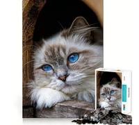 Puzzle pour Adultes 1000 pièces Chat Blanc Mignon aux Yeux Bleus Jeu d'articulation précis,Jeu de réflexion Amusant,Moment de détente,Art de Loisirs de Noël (38x52cm)