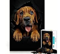 Puzzle pour Adultes 1000 pièces Chien de Saint-Hubert dans Le Mur Jeu d'articulation Pointue,Jeu Amusant et Stimulant,Moment de détente et de Divertissement,Art de Loisirs de Noël (38x52cm)