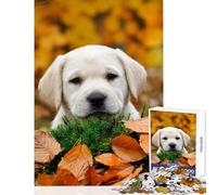 Puzzle pour Adultes 1000 pièces Chiot Labrador d'automne Décoration intérieure Jouet Cadeau d'anniversaire Jeu éducatif Collection d'artistes Beaux-Arts Dimensions 38x26cm
