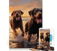 Puzzle pour Adultes 1000 pièces Deux Labradors sur la Plage Jeu de Construction Lisse et Amusant pour se concentrer et Passer Un Moment agréable, Cadeau d'anniversaire Amusant (38x26cm)