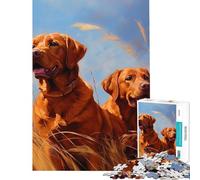 Puzzle pour Adultes 1000 pièces Deux Renards Labradors Roux Jeu Pratique Défi d'intelligence et de réflexion Jouet addictif Cadeau d'anniversaire Cadeau pour Femmes (Dimensions 38x52cm)