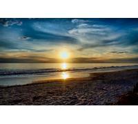 Puzzle pour Adultes 1000 pièces, Deux Tigres Blancs et Deux Oiseaux, Grand Puzzle Paysage à réaliser Entre Amis, à Monter soi-même, intellectuel et éducatif, 38 x 52 cm