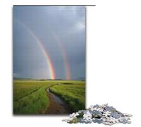 Puzzle pour Adultes 1000 pièces Double Arc-en-Ciel à Travers la vallée après la Pluie Puzzle Chaque pièce est Unique - Jeu Familial Stimulant et Amusant 1000 pièces (38 x 26 cm)