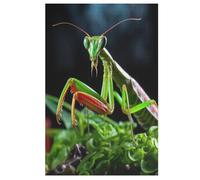 Puzzle pour Adultes 1000 Pièces Mante Religieuse Puzzles en Bois Créatifs-Jeu Pratique -Décoration Familiale （78×53cm）