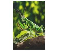 Puzzle pour Adultes 1000 Pièces Mante Religieuse Puzzles en Bois Créatifs-Jeu Pratique -Décoration Familiale 78×53cm