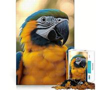 Puzzle pour Adultes 1000 pièces Portrait d'ara Bleu et Or Découpe Impeccable Amusant,Stimulant la réflexion,Jeu de détente,décoration de Noël (50x75cm)