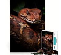 Puzzle pour Adultes 1000 pièces Portrait de boa Constrictor Jeu de Construction Amusant et précis,idéal pour Les Loisirs et Les activités artistiques d'anniversaire (38x52cm)