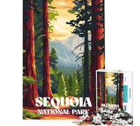 Puzzle pour Adultes 1000 pièces Sequoia Sunset Trail Jeu éducatif et Stimulant Difficile et enrichissant pour Les 14 Ans et Plus (38x26cm)