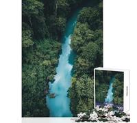 Puzzle pour Adultes 1000 pièces Vue aérienne d'une rivière en forêt Jeu Familial Stimulant Jouet éducatif Cadeau pour Amis et Famille (38x52cm)