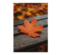 Puzzle pour Adultes 38x26cm/1000pcs Autumn Leaf with Dew Drops Puzzle Jeux Amusants Décoration Murale Cadeaux Uniques pour Anniversaire Et Noël 38x26cm/1000pcs