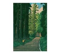 Puzzle pour Adultes 38x26cm/1000pcs Road to Nikko Casse-tête pour Adolescents Jeu De Réflexion Analyse Et Logique Jeu Stimulant Cadeaux 38x26cm/1000pcs