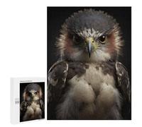 Puzzle pour Adultes 500 PCS Hawk Looking At The Camera Puzzle pour Adultes, Jeu De Réflexion, Décoration Murale, Idéal comme Cadeau 500 PCS