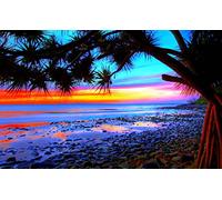 Puzzle pour Adultes 500 pièces Paysage Tropical Coucher de Soleil sur la Plage colorée 52x38CM
