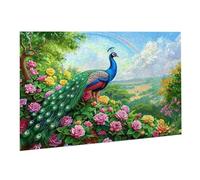 Puzzle pour Adultes 5000 Pièces Puzzle Arc-En-Ciel Le Paon 105 x 156 cm Jeu éducatif Puzzles Défiants Jeu éducatif, Puzzles Femmes, Cadeaux Hommes Décoration Maison Activité Familiale Parfaite K0F-337