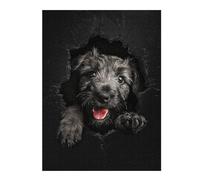 Puzzle pour Adultes 52x38cm/1000pcs Scottish Deerhound Puzzle pour Adultes, Jouet, Décoration Murale, Décoration Parfaite, Jeu Stimulant, Cadeaux 52x38cm/1000pcs