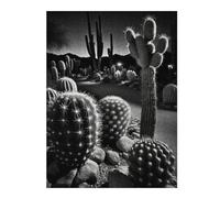 Puzzle pour Adultes 52x38cm/1000pcs Somewhere in The Desert Casse-tête pour Adolescents Jeu De Réflexion Analyse Et Logique Jeu Stimulant Cadeaux 52x38cm/1000pcs