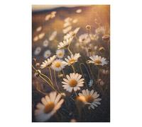 Puzzle pour Adultes 75x50cm/1000pcs Daisy Field Casse-tête pour Adolescents, Jeu De Réflexion, Course De Vitesse Manuelle, Cadeaux Uniques d'anniversaire Et De Noël 75x50cm/1000pcs