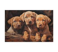 Puzzle pour Adultes 75x50cm/1000pcs Fox Red Labrador Puppies Jeu Manuel pour Adultes Décoration Idéale Interaction Parent-Enfant 75x50cm/1000pcs
