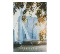 Puzzle pour Adultes 75x50cm/1000pcs Rotterdam Casse-tête pour Adolescents Jeu De Réflexion Analyse Et Logique Jeu Stimulant Cadeaux 75x50cm/1000pcs