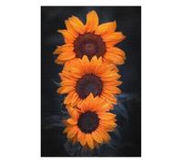 Puzzle pour Adultes 75x50cm/1000pcs Yellow Trio Puzzle pour Adultes Jeux De Détente pour S'amuser en Famille Interaction Parent-Enfant 75x50cm/1000pcs