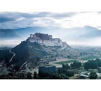 Puzzle pour Adultes avec 1500 pièces Palais du Potala Idéal pour la Famille de Jeux de Famille